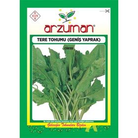 Arzuman 10 gr Tere Geniş Yaprak