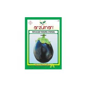Arzuman 10 gr Topan Patlıcan Tohumu
