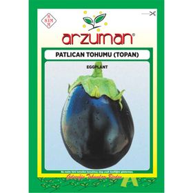 Arzuman 10 gr Topan Patlıcan Tohumu