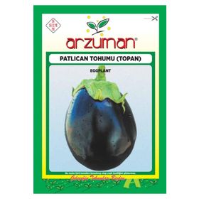 Arzuman 10 gr Topan Patlıcan Tohumu
