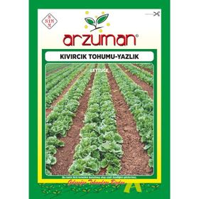 Arzuman 10 gr Yazlık Marul Tohumu