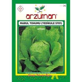 Arzuman 10 gr Yedikule 5701 Marul Tohumu