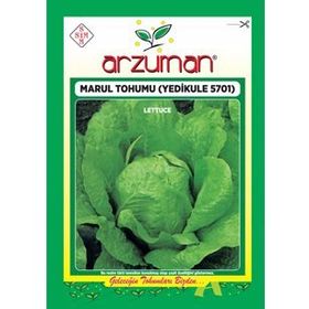 Arzuman 10 gr Yedikule 5701 Marul Tohumu