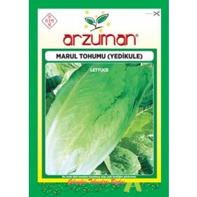 Arzuman 10 gr Yedikule 5701 Marul Tohumu