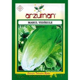 Arzuman 10 Gr Yedikule Marul Tohumu Göbekli Marul