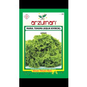 Arzuman 10 Gr Yedikule Marul Tohumu Göbekli Marul