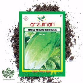 Arzuman 10 gr Yedikule Marul Tohumu