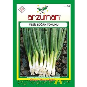 Arzuman 10 gr Yeşil Soğan Tohumu