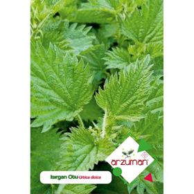 Arzuman 100 Adet Isırgan Çiçek Tohumu