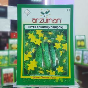 Arzuman 100 Tohum Kornişon Turşuluk Tohumu