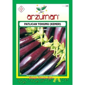 Arzuman 10gr Kemer Patlıcan Tohumu