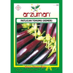 Arzuman 10gr Kemer Patlıcan Tohumu