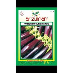 Arzuman 10gr Kemer Patlıcan Tohumu