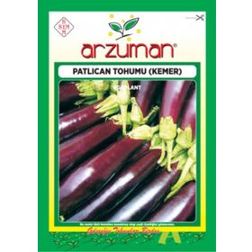 Arzuman 10gr Kemer Patlıcan Tohumu
