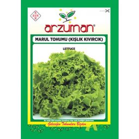 Arzuman 10gr Kıvırcık Marul Tohumu