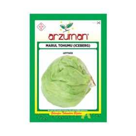 Arzuman 10gr Kıvırcık Marul Tohumu