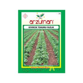 Arzuman 10gr Kıvırcık Marul Tohumu