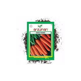 Arzuman 10gr Nantes Havuç Tohumu
