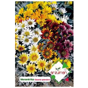 Arzuman 20 Adet Meramlı Kız Gazania Splendens Çiçek Tohumu