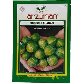 Arzuman 200 Adet Brüksel Lahanası Tohumu