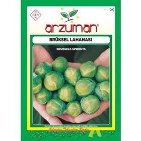 Arzuman 200 Adet Brüksel Lahanası Tohumu
