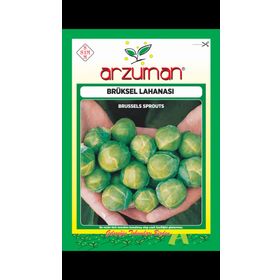 Arzuman 200 Adet Brüksel Lahanası Tohumu