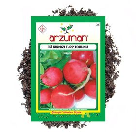 Arzuman 25 gr Iri Kırmızı Turp Tohumu