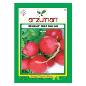 Arzuman 25 gr Iri Kırmızı Turp Tohumu