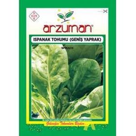 Arzuman 25 Gr Ispanak Tohumu İthal Matador Çeşidi