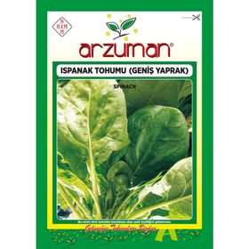 Arzuman 25 gr İthal Ispanak Tohumu