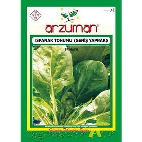 Arzuman 25 gr İthal Ispanak Tohumu
