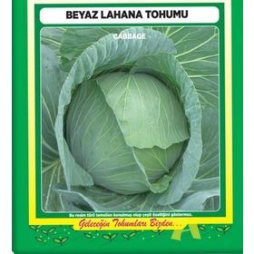 Arzuman 25 gr Lahana Tohumu Beyaz Lahana
