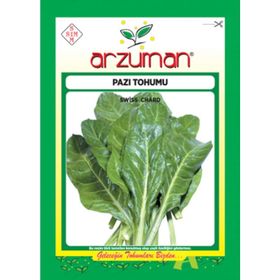 Arzuman 25 Pazı Tohumu