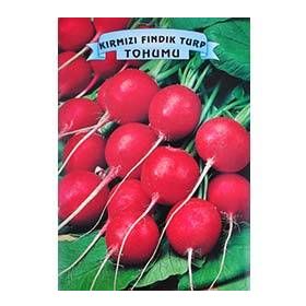 Arzuman 25gr Kırmızı Fındık Turp Tohumu
