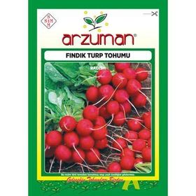 Arzuman 25gr Siyah Turp Tohumu