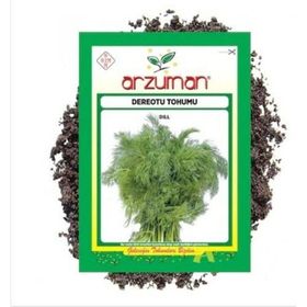 Arzuman 4 Adet Arzuman Dereotu Tohumu