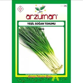 Arzuman 4x10 gr Yeşil Soğan Tohumu