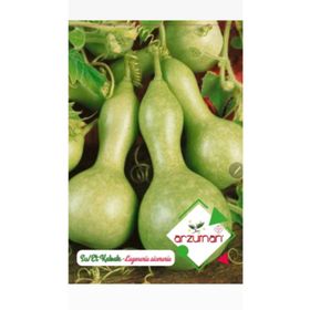 Arzuman 5 Adet Su Et Kabağı Çiçek Tohumu