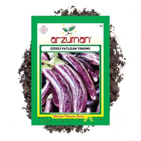 Arzuman 5 gr Çizgili Patlıcan Tohumu