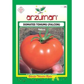 Arzuman 5 gr Falcon Domates Tohumu