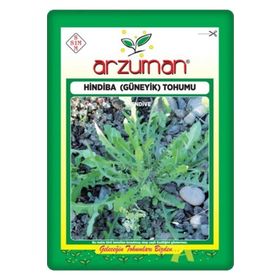 Arzuman 5 Gr Hindiba Güneyik Tohumu