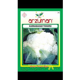 Arzuman 500 Adet 10 Gr Karnabahar Tohumu