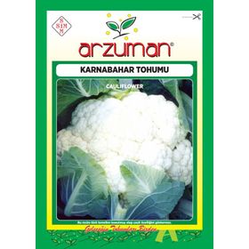 Arzuman 500 Adet 10 Gr Karnabahar Tohumu