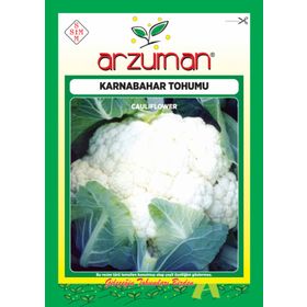 Arzuman 500 Adet 10 Gr Karnabahar Tohumu