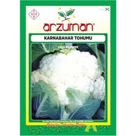Arzuman 500 Adet 10 Gr Karnabahar Tohumu
