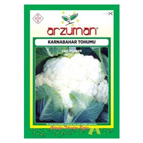 Arzuman 500 adet Karnıbahar (Karnabahar) Tohumu
