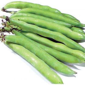 Arzuman 50gr Sakız Bakla Tohumu