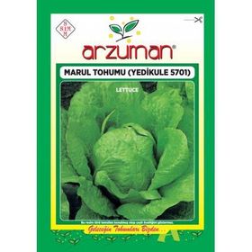 Arzuman 5701 Sebze Yedikule Marul Tohumu