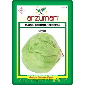 Arzuman 5gr Iceberg Marul Tohumu