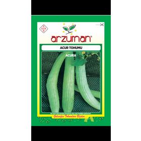 Arzuman Acur Acar 10 gr Tohum